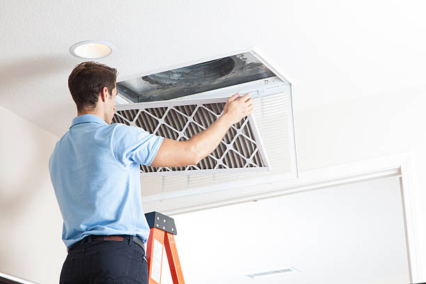 Best Air Quality Test  in Mokena, IL